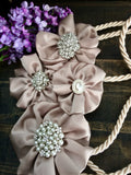 Traditional wedding rope lasso, champagne lasso with silver diamond brooches